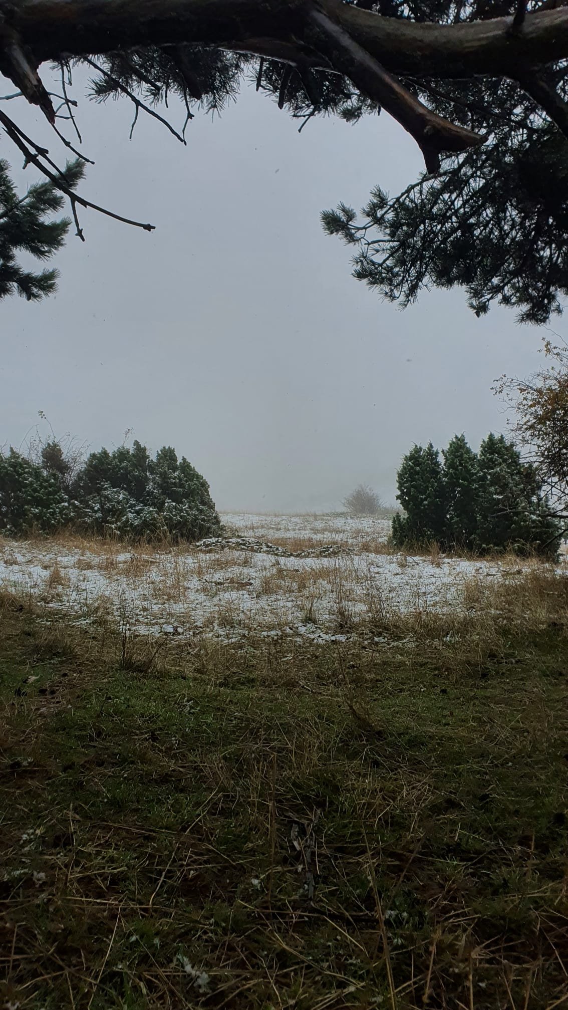 Foto de la ruta